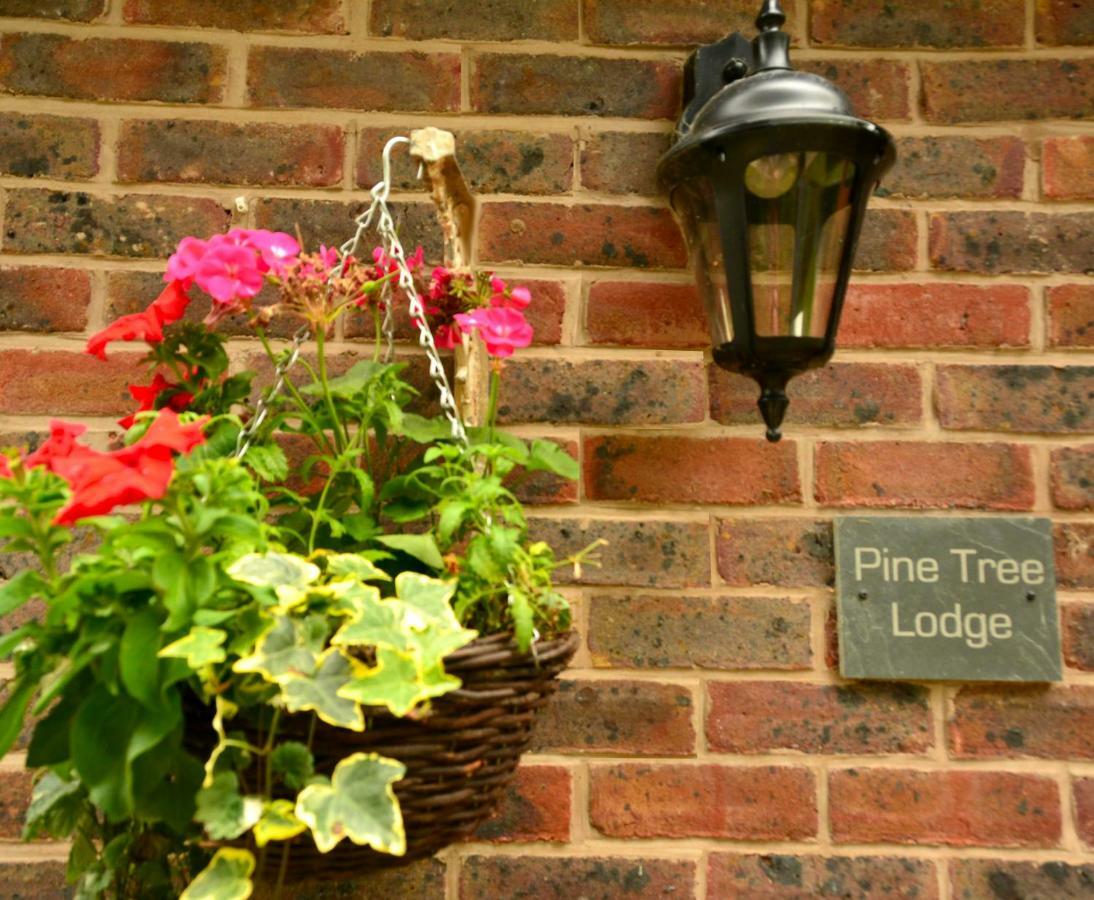 Pine Tree Lodge, Bridgnorth Exteriér fotografie